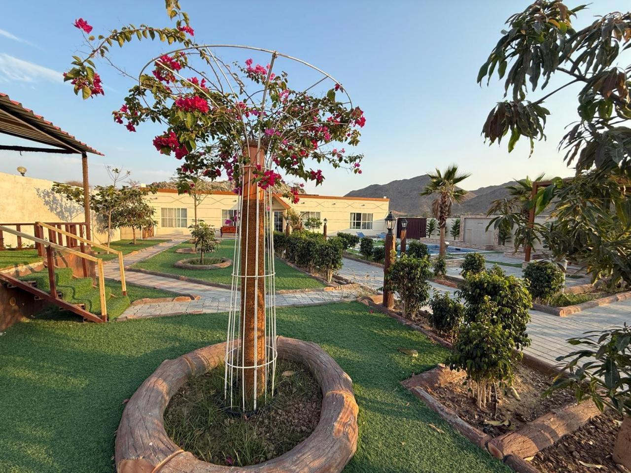 800 Mountain Resort Vacation House Fujairah Buitenkant foto